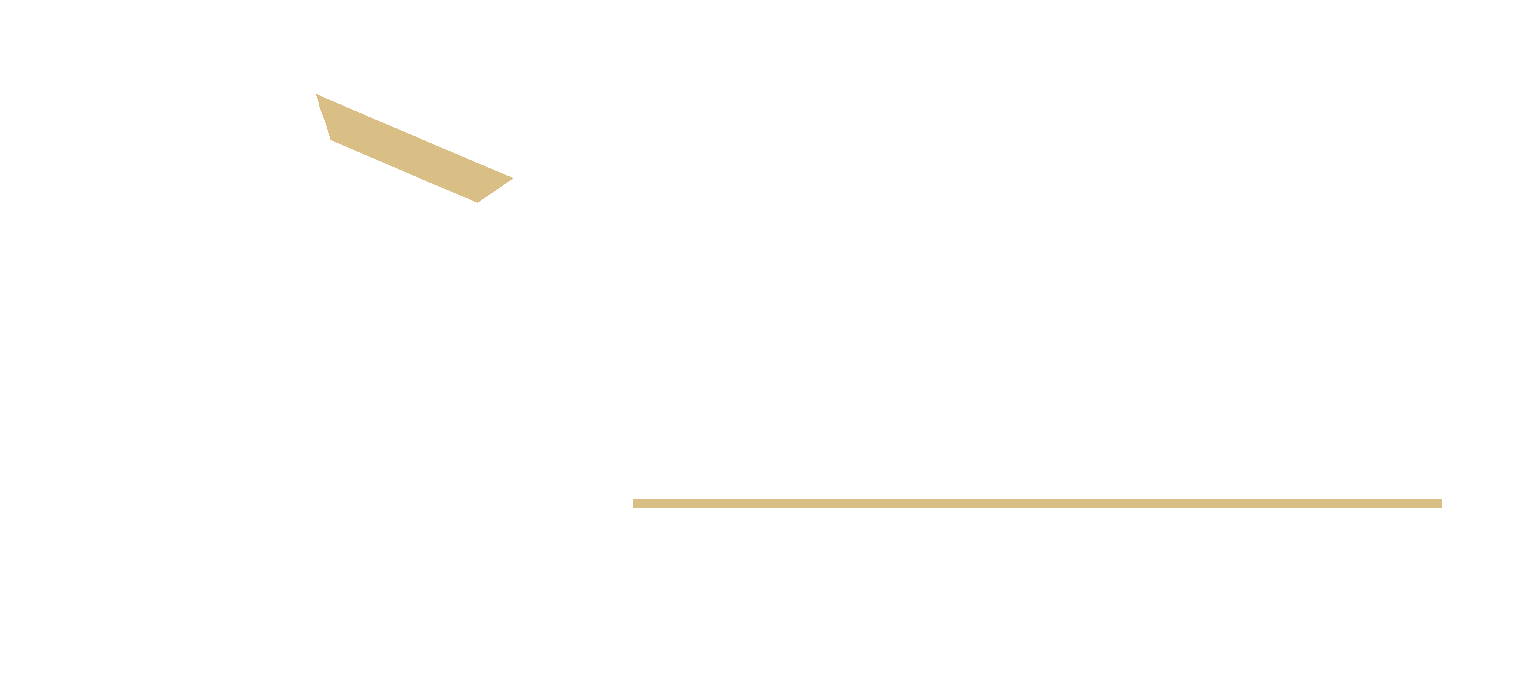 Опора Бизнеса